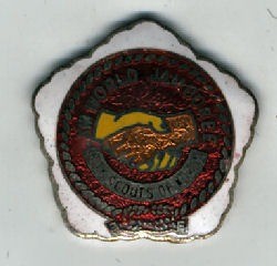 wj south korean pin