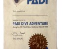 wj 95 padi pin   certificato ok